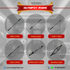 Let’sPlay® Complete Commercial Gym Setup with Equipment under 12.75 Lakhs